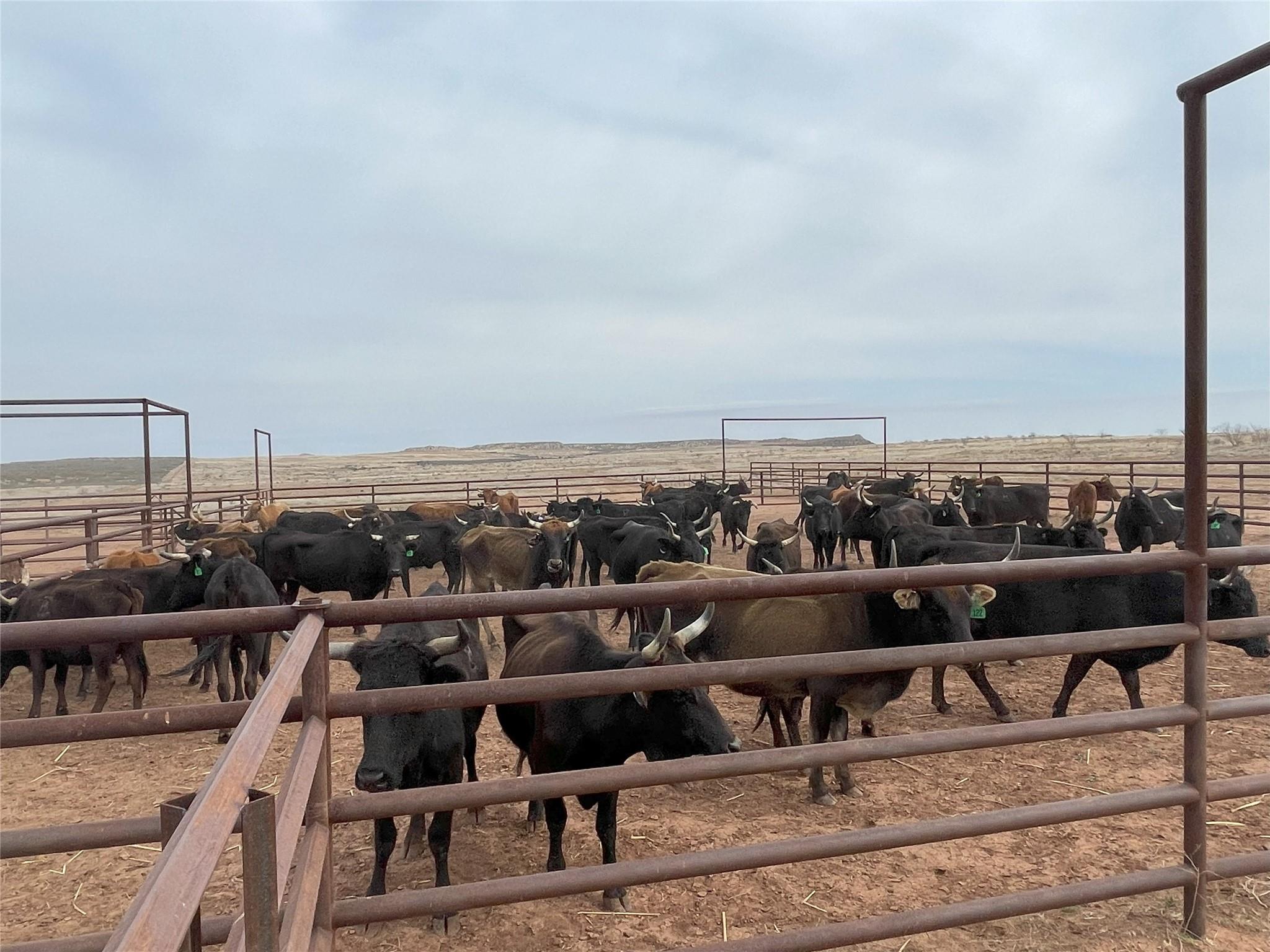 906 CR 235, Aspermont, TX 79502