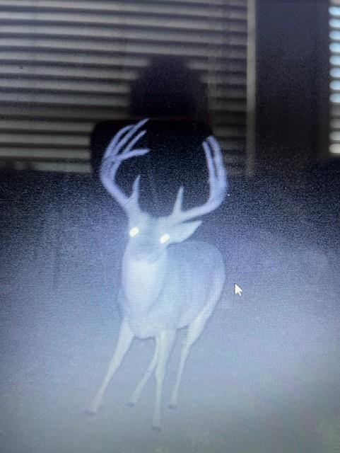 906 CR 235, Aspermont, TX 79502