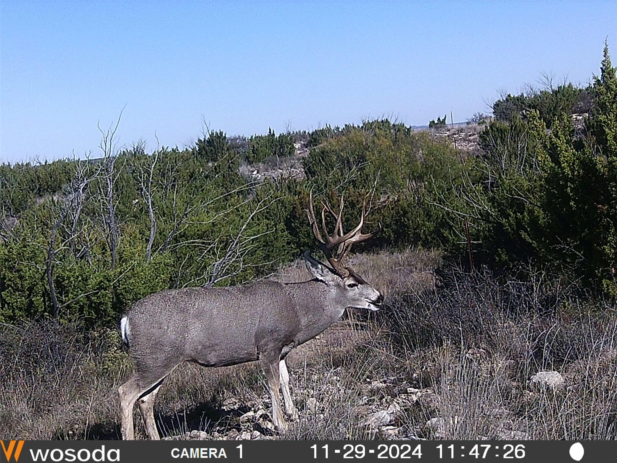 906 CR 235, Aspermont, TX 79502