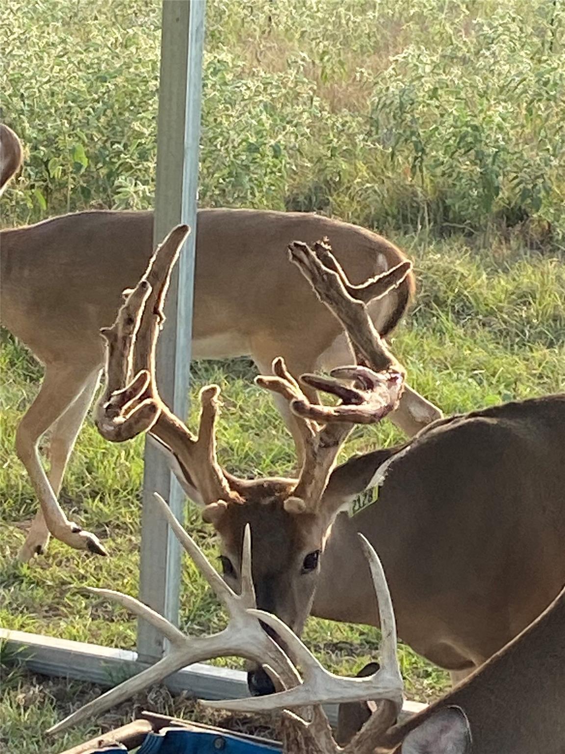 906 CR 235, Aspermont, TX 79502