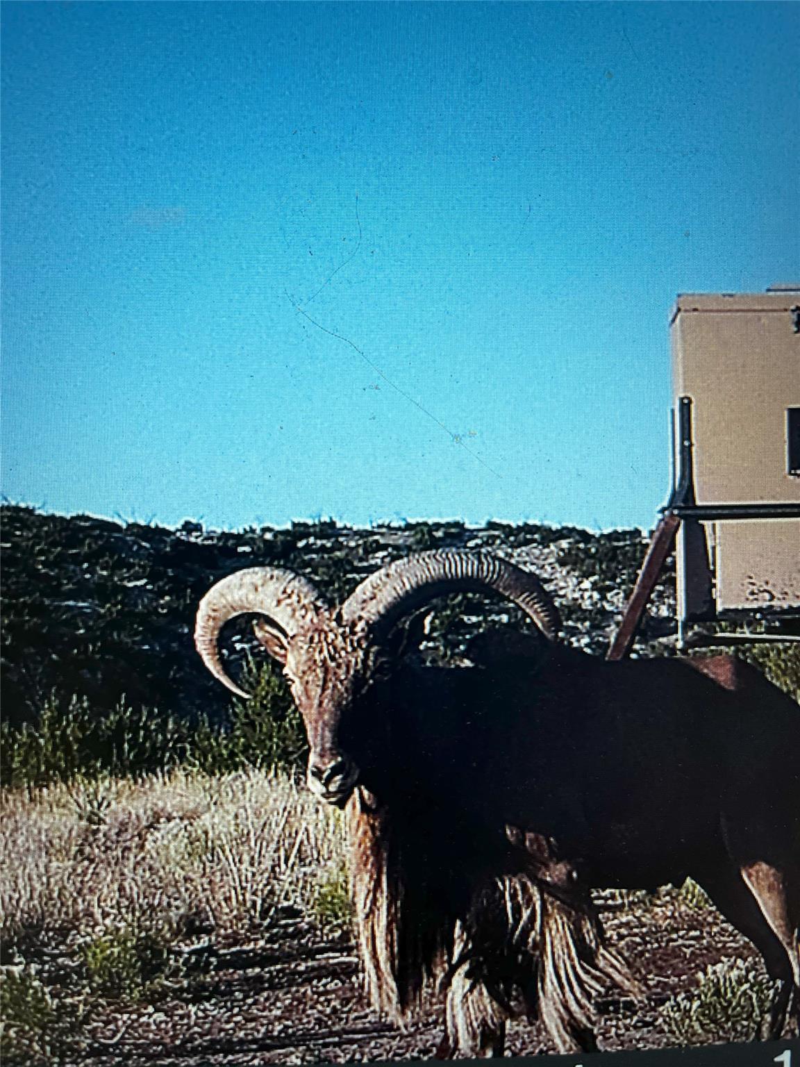 906 CR 235, Aspermont, TX 79502