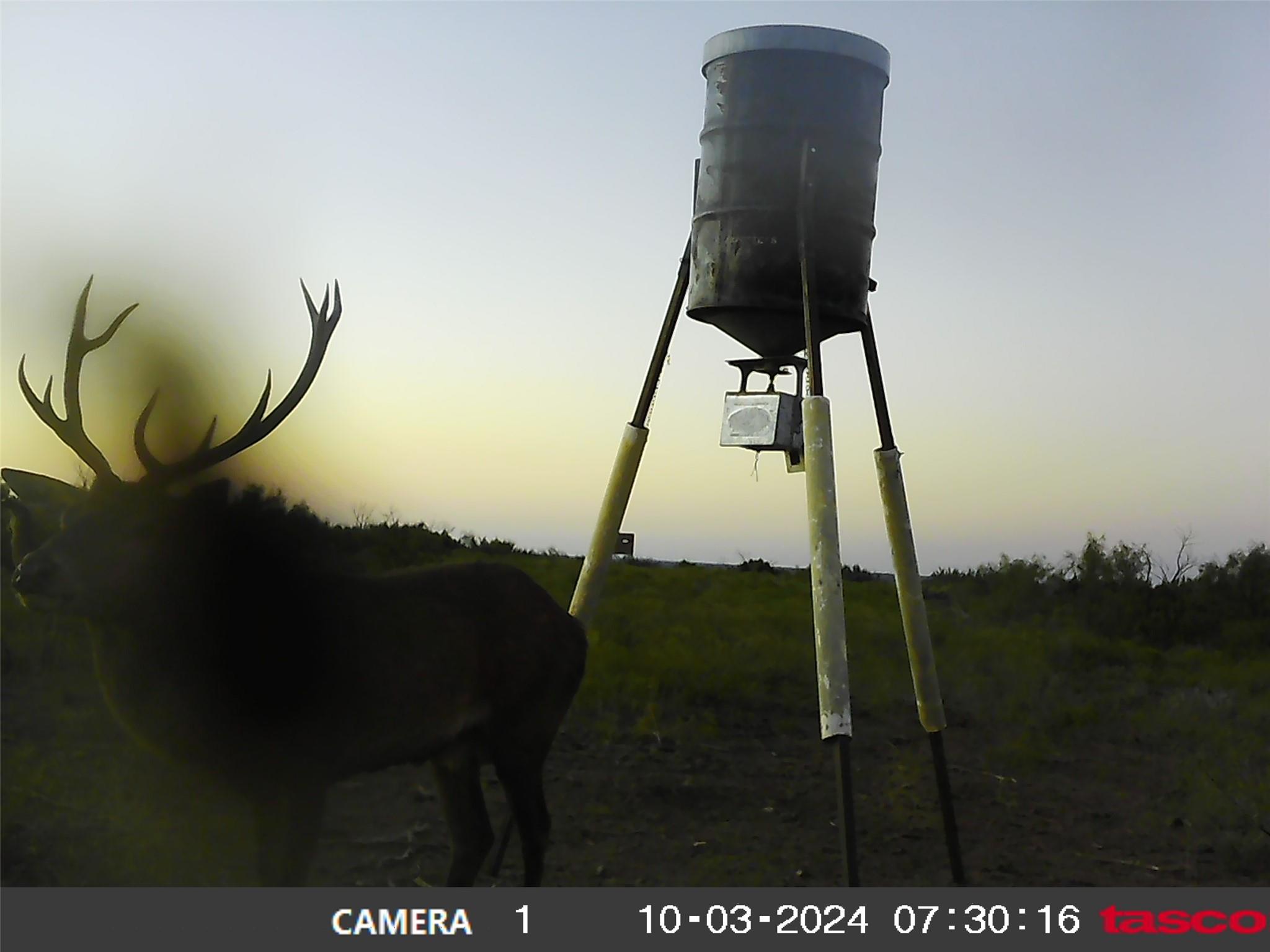 906 CR 235, Aspermont, TX 79502