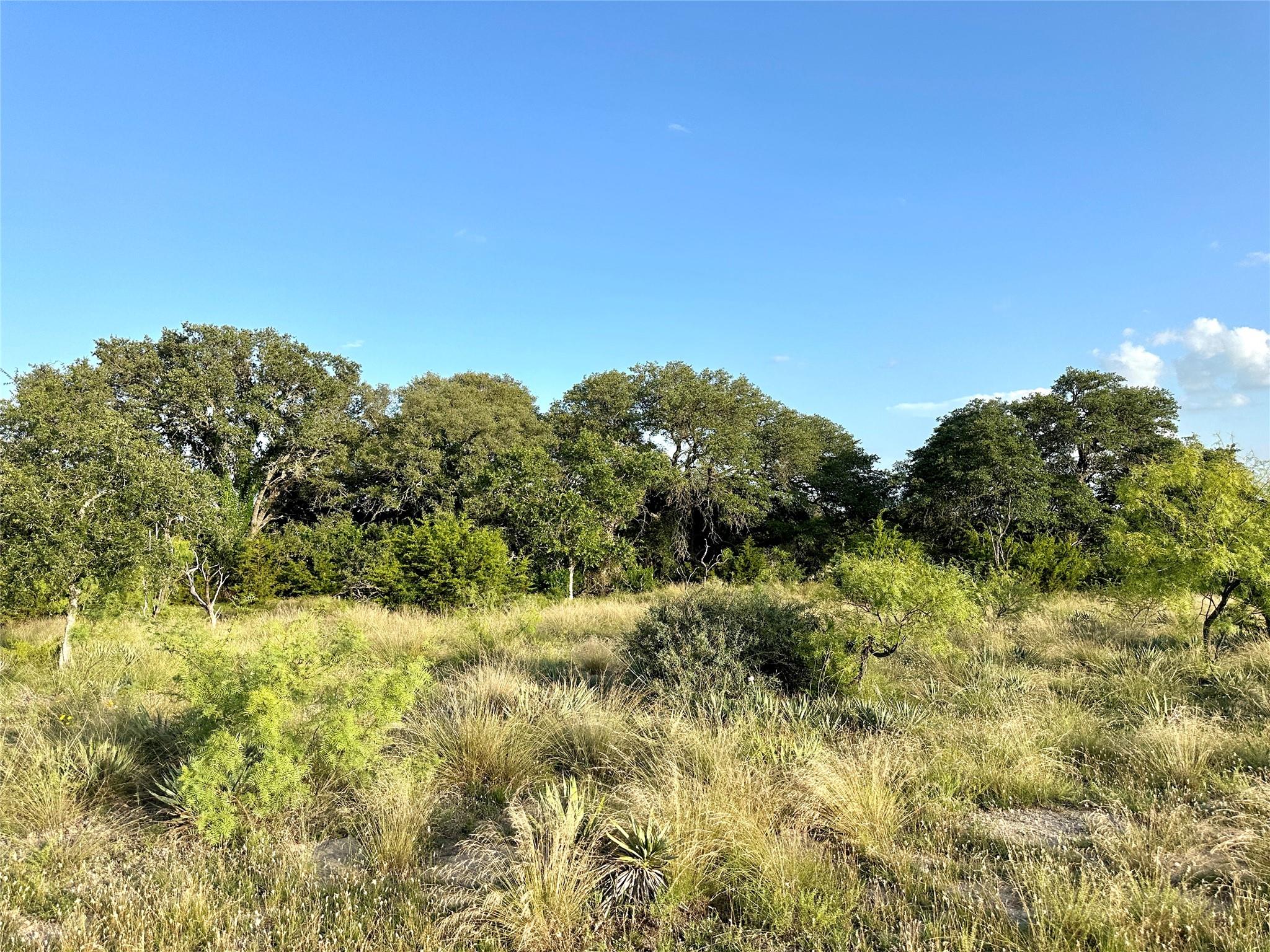 1081 FM 218, Zephyr, TX 76890