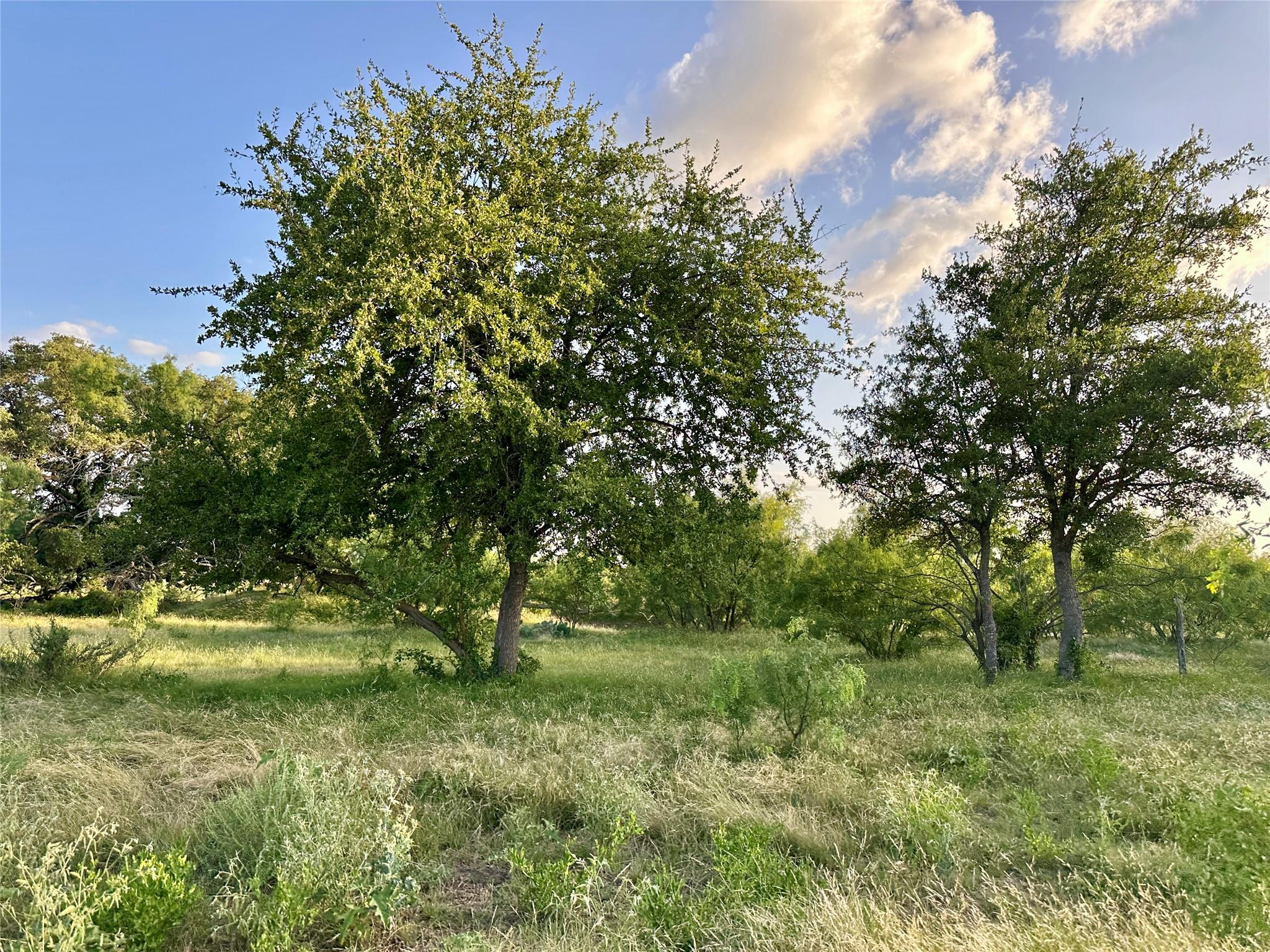 1081 FM 218, Zephyr, TX 76890