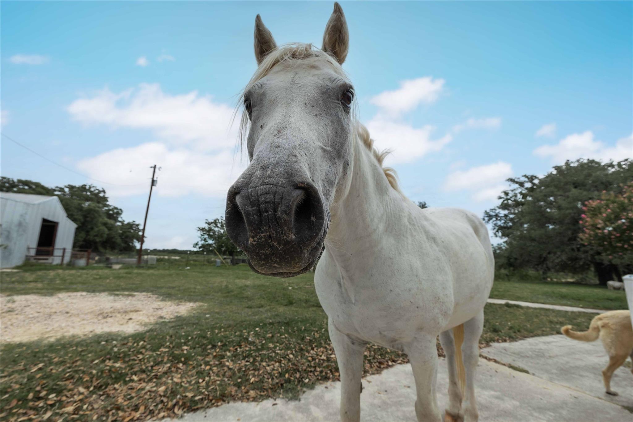 1081 FM 218, Zephyr, TX 76890