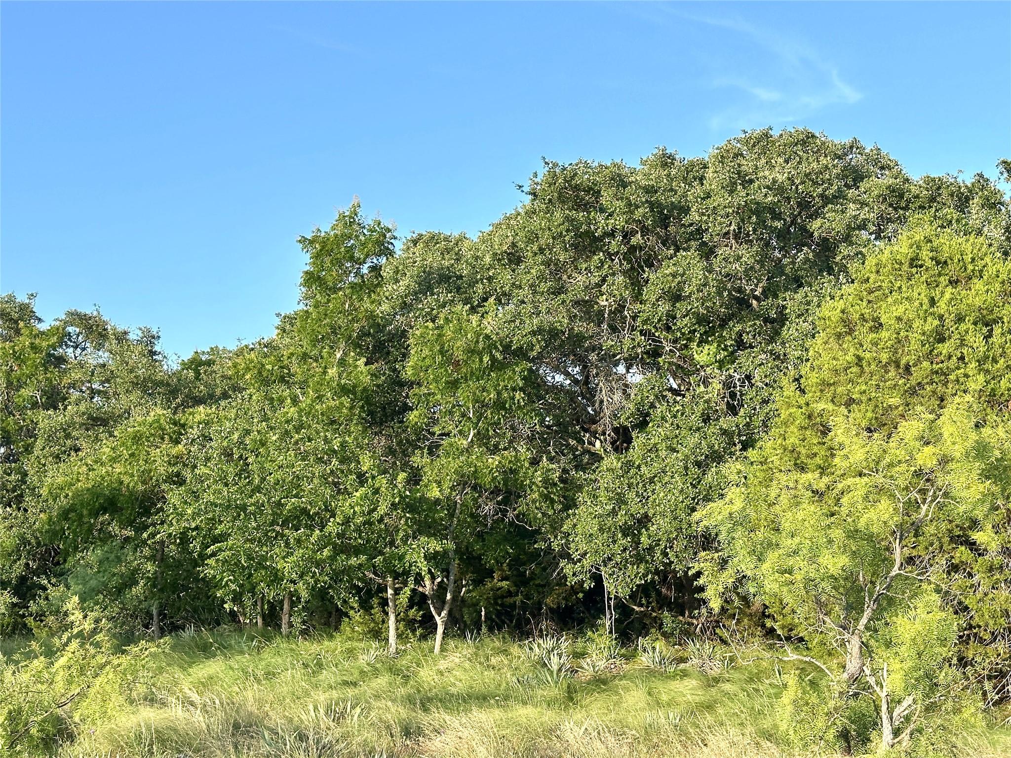 1081 FM 218, Zephyr, TX 76890