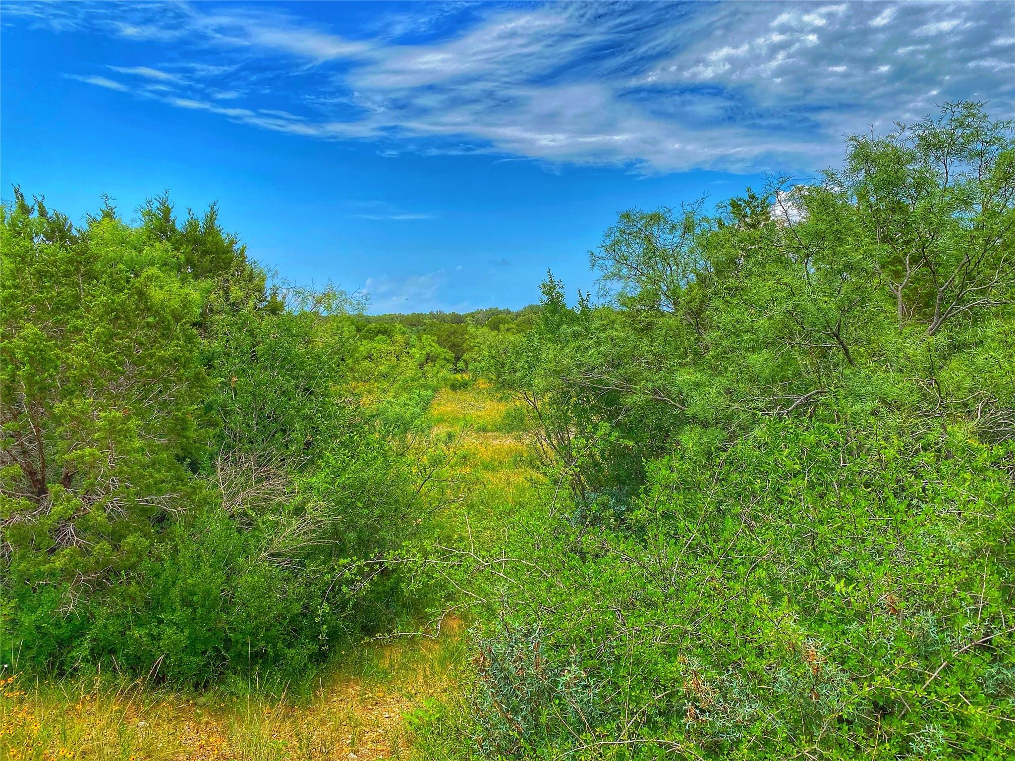 0000 CR 436, Rochelle, TX 76872