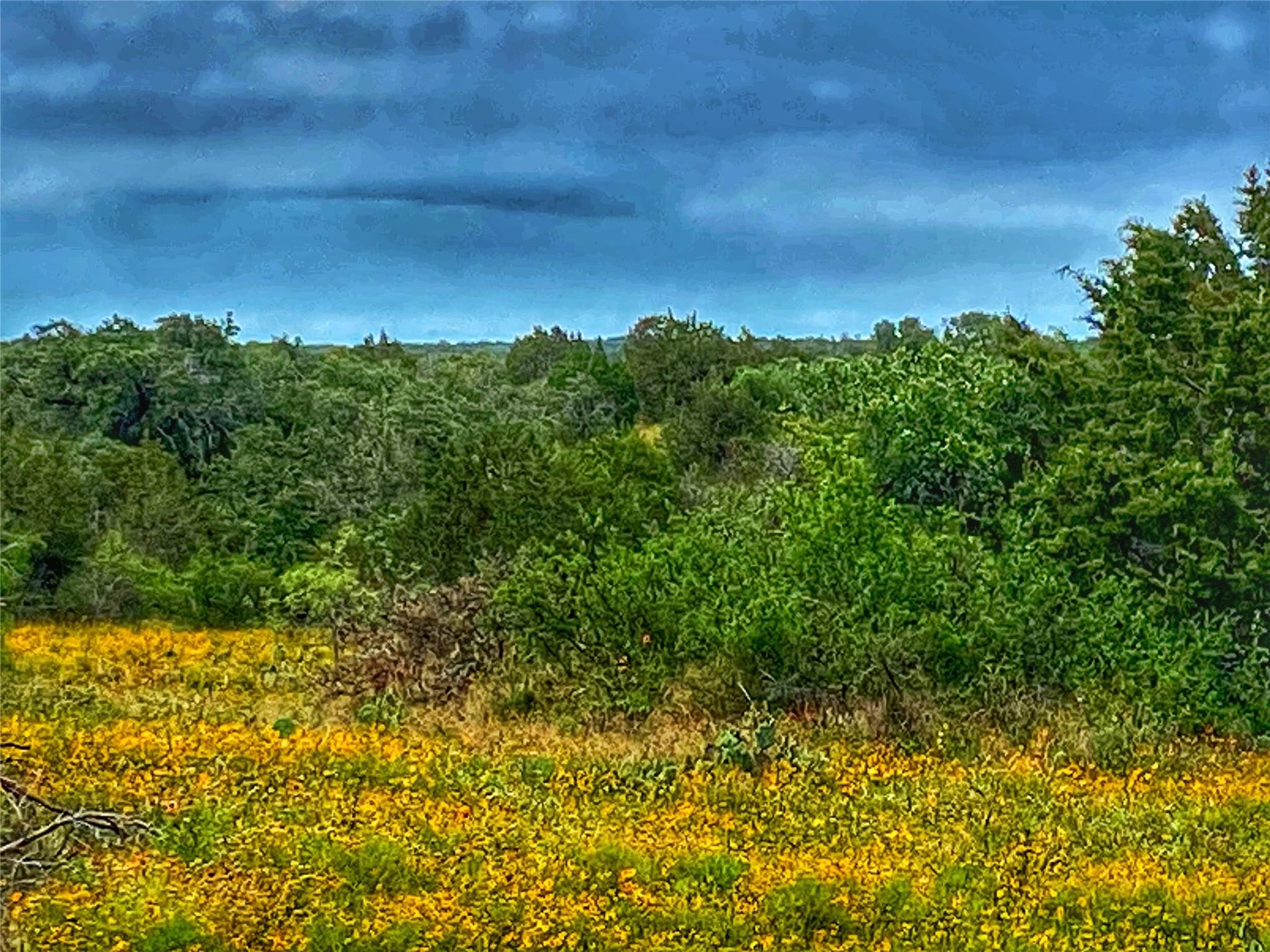 0000 CR 436, Rochelle, TX 76872