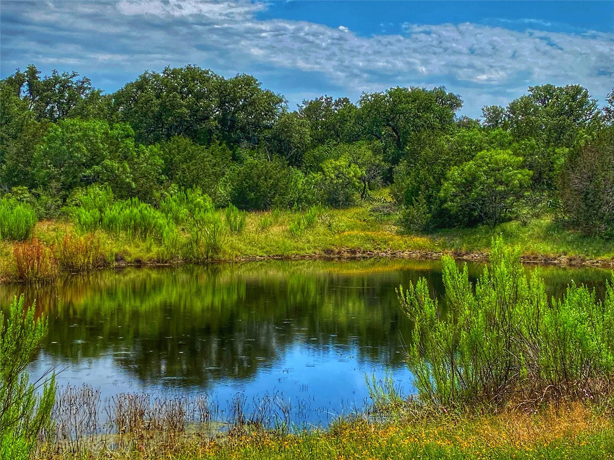 0000 CR 436, Rochelle, TX 76872