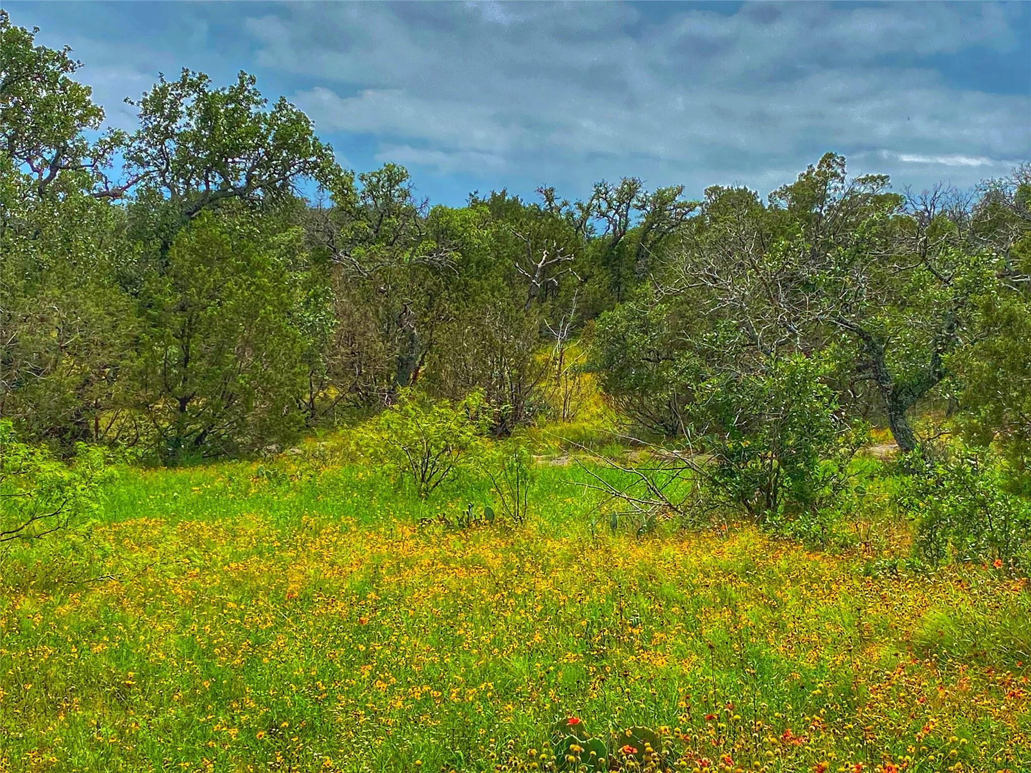 0000 CR 436, Rochelle, TX 76872