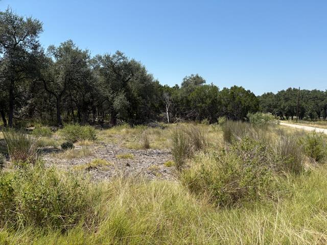 21915 Cardinal Ave, Lago Vista, TX 78645