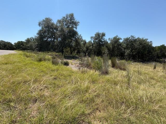 21915 Cardinal Ave, Lago Vista, TX 78645