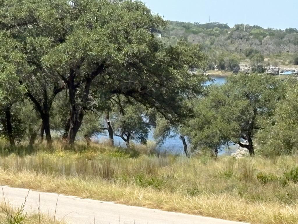 21915 Cardinal Ave, Lago Vista, TX 78645