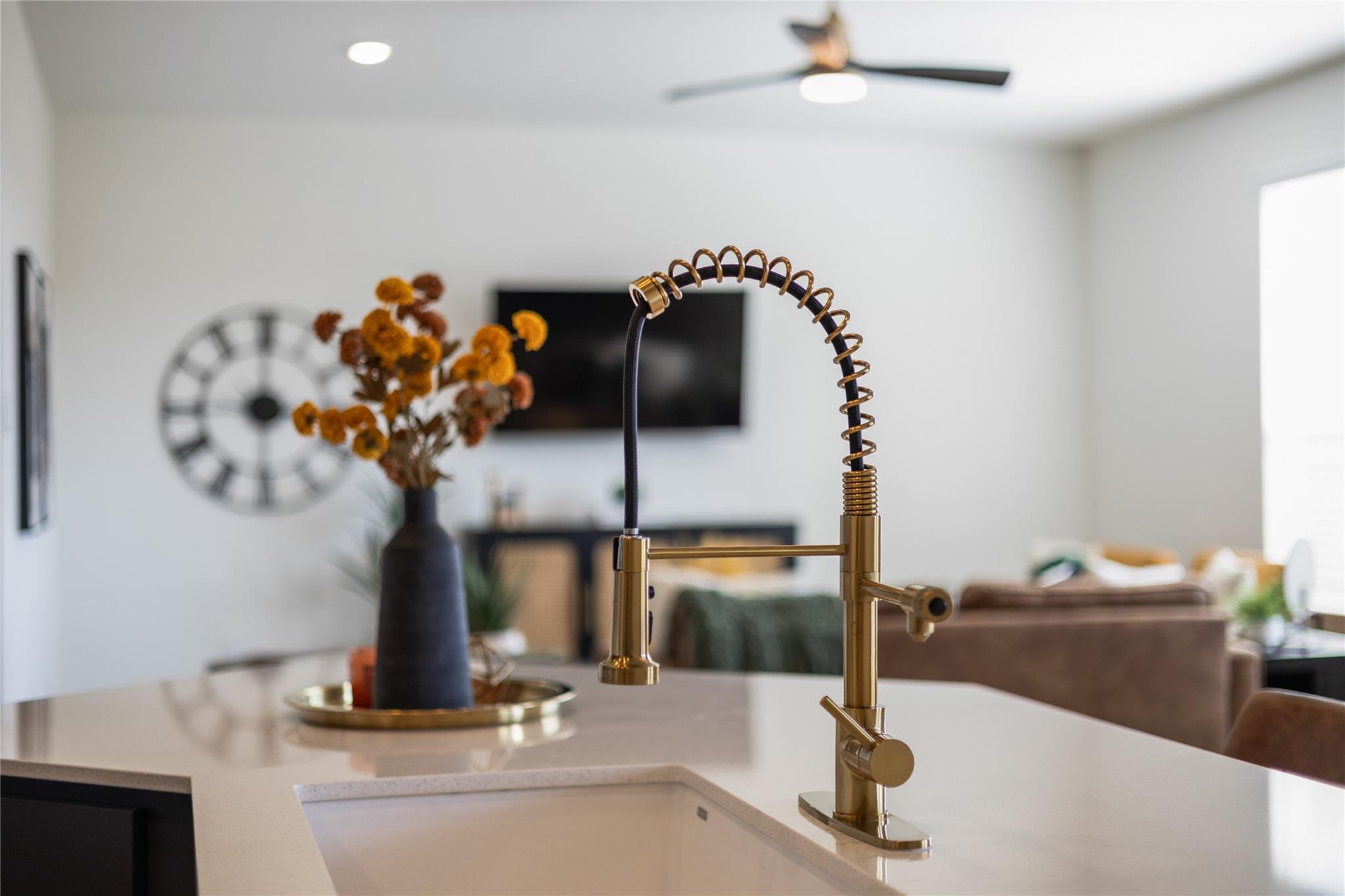 1905 Red Berry Pass, Georgetown, TX 78628