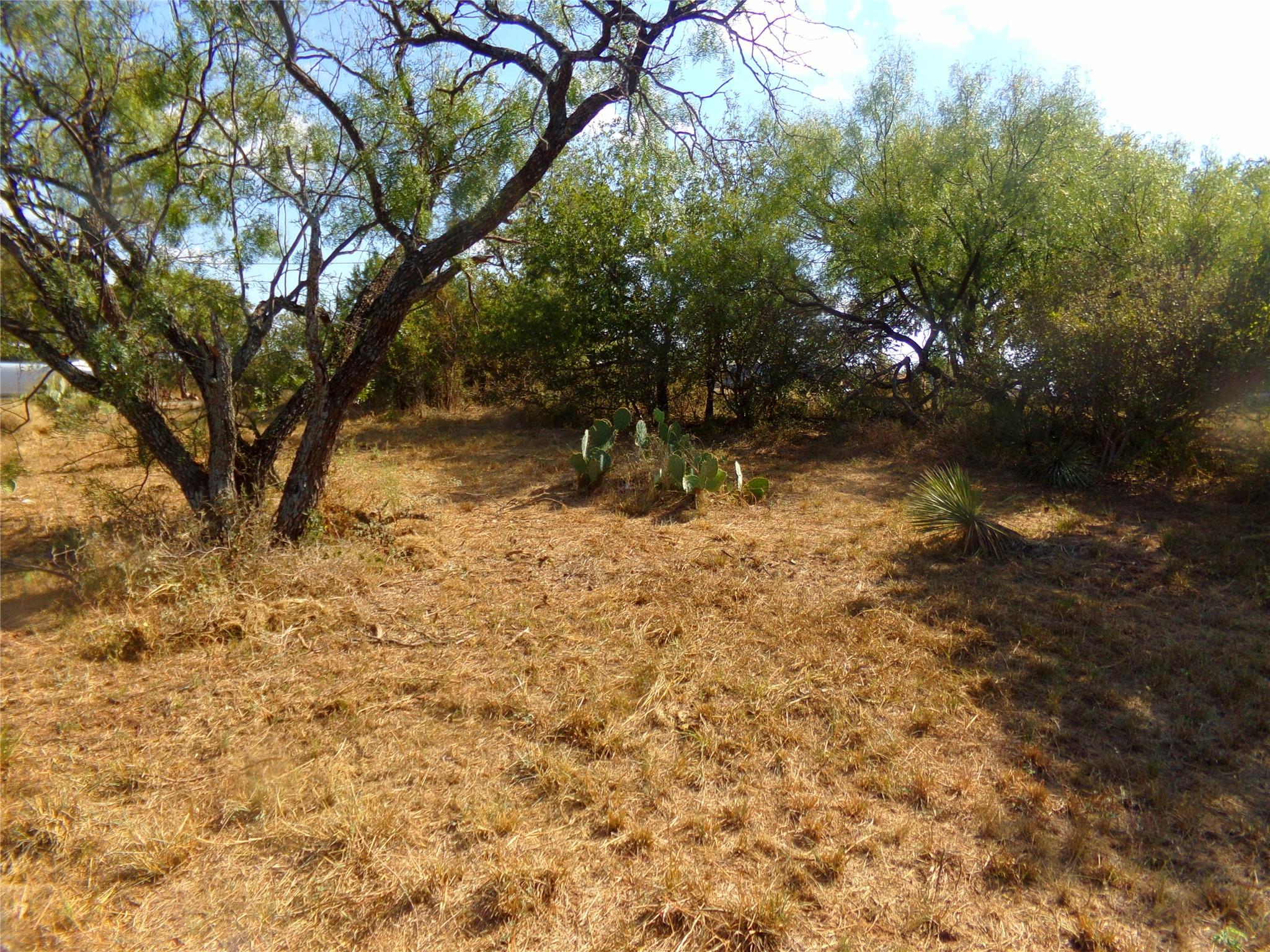 Lot 199 CR 139 C, Burnet, TX 78611