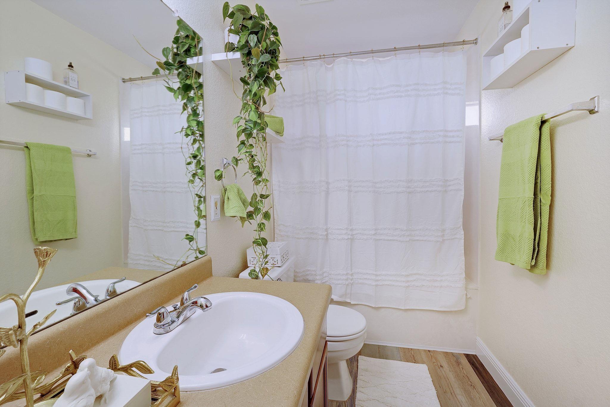 3613 Bach Dr, Pflugerville, TX 78660