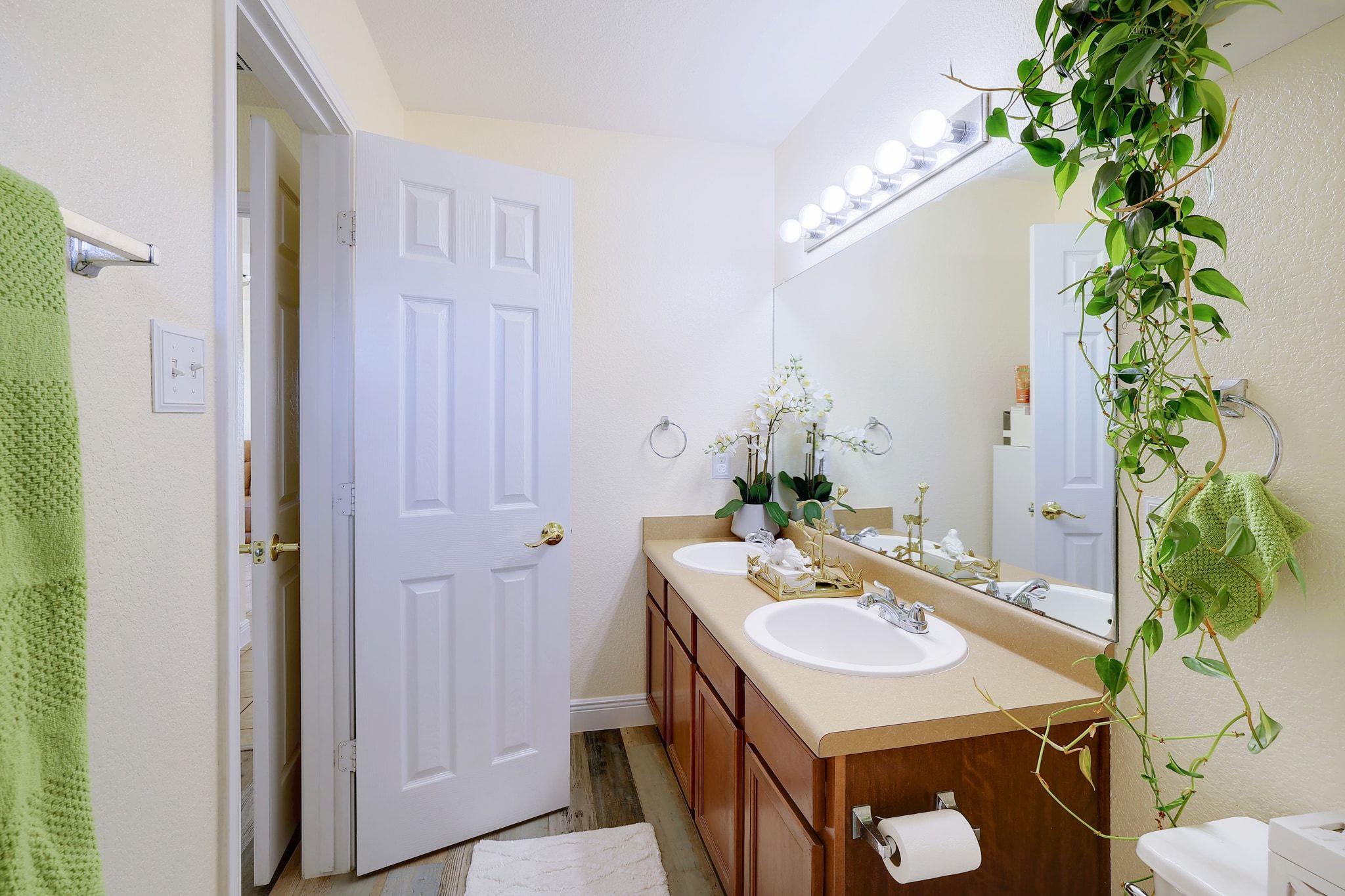 3613 Bach Dr, Pflugerville, TX 78660