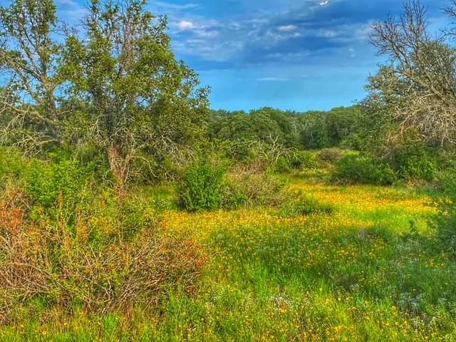 0000 CR 296, Richland Springs, TX 78761