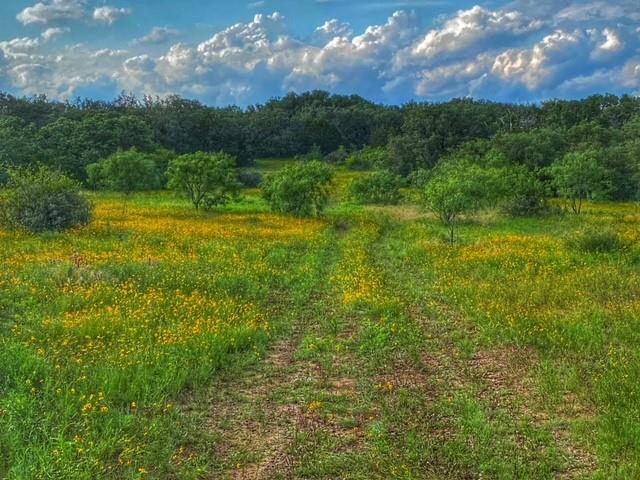 0000 CR 296, Richland Springs, TX 78761