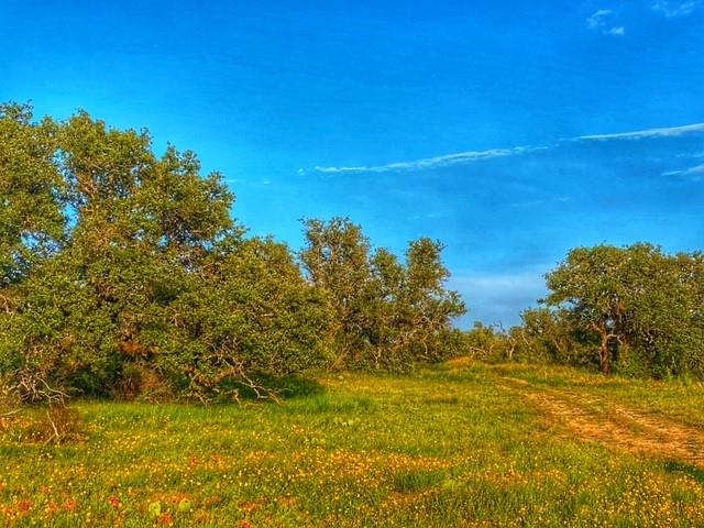 0000 CR 296, Richland Springs, TX 78761