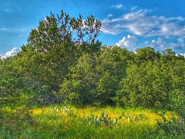 0000 CR 296, Richland Springs, TX 78761