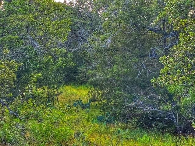 0000 CR 296, Richland Springs, TX 78761