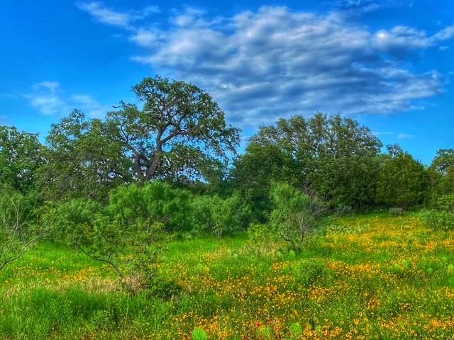 0000 CR 296, Richland Springs, TX 78761