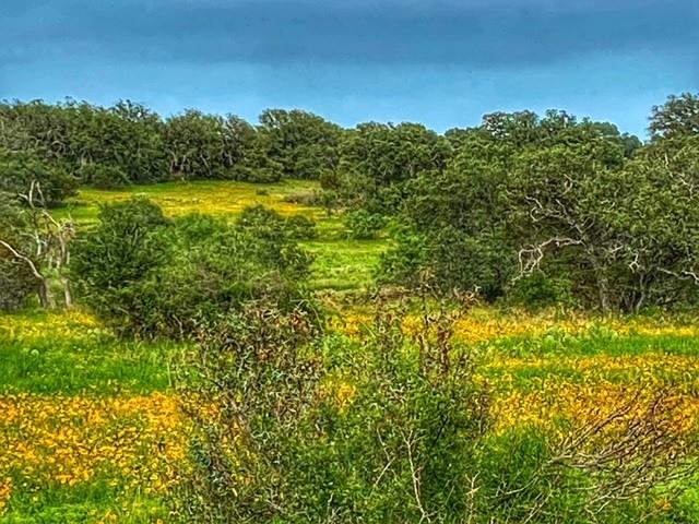 0000 CR 296, Richland Springs, TX 78761