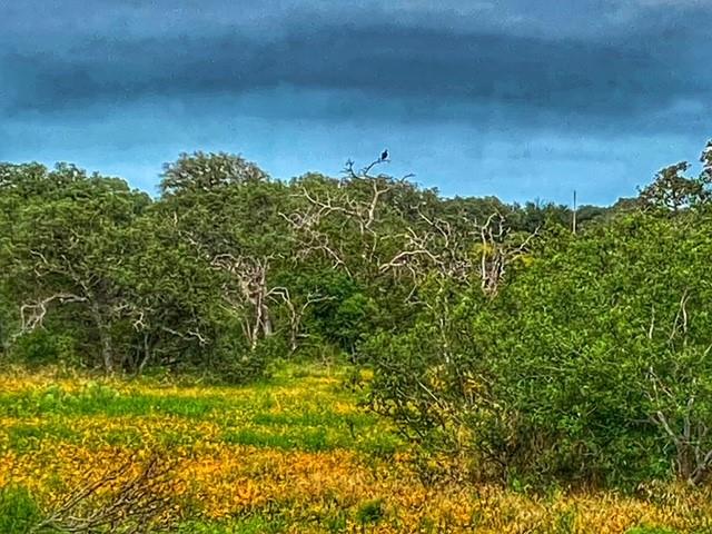 0000 CR 296, Richland Springs, TX 78761