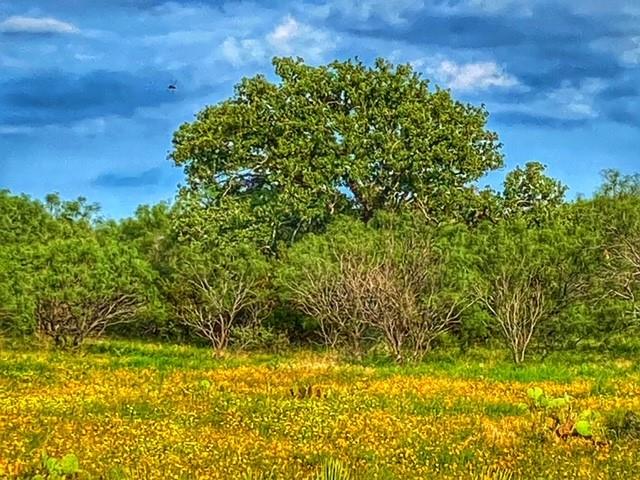 0000 CR 296, Richland Springs, TX 78761