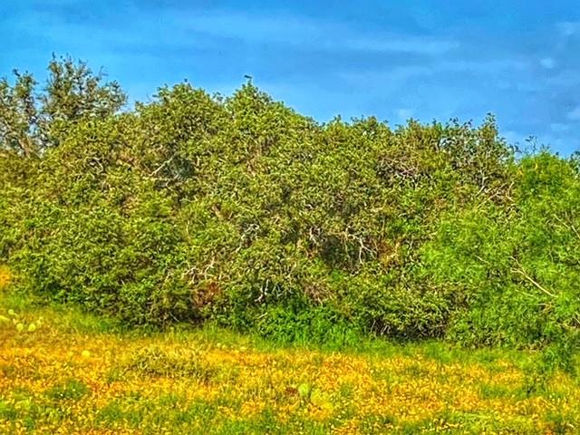 0000 CR 296, Richland Springs, TX 78761