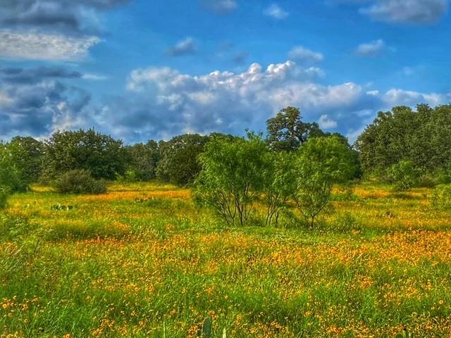 0000 CR 296, Richland Springs, TX 78761