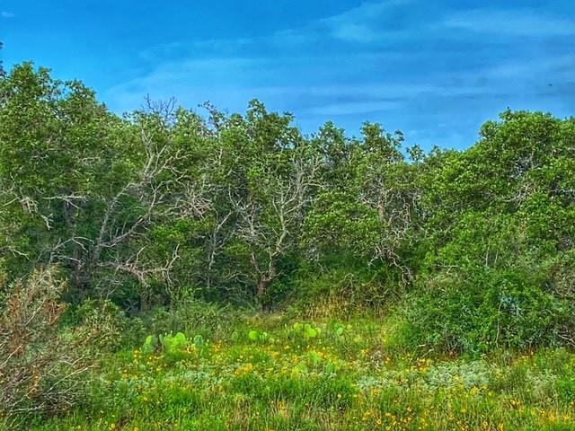 0000 CR 296, Richland Springs, TX 78761