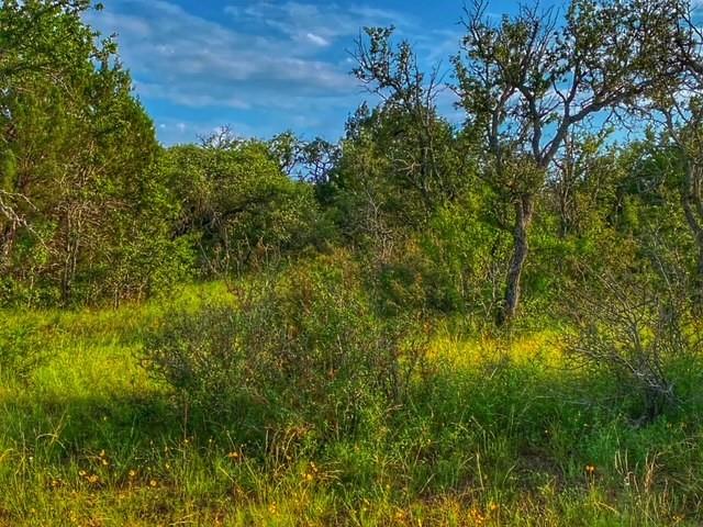 0000 CR 296, Richland Springs, TX 78761