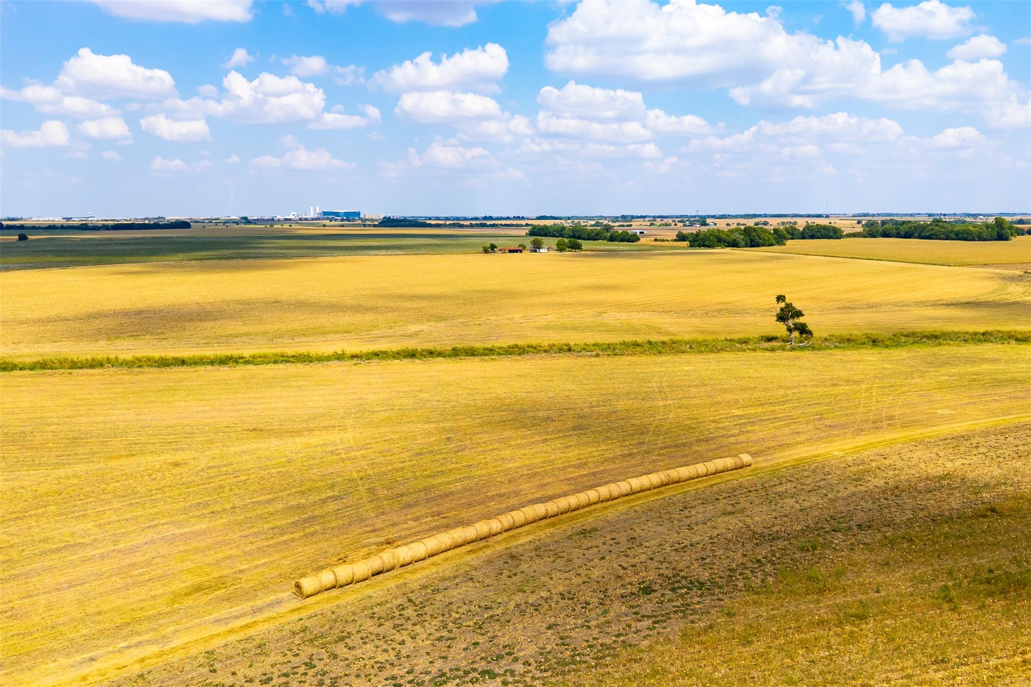 TBD FM 1660, Taylor, TX 76574