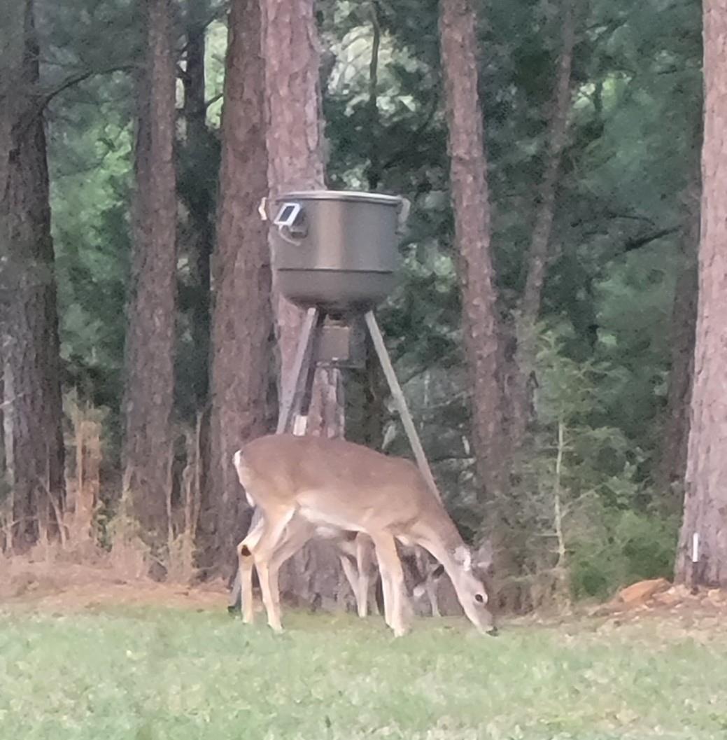 166 Sandy Rd, Rosanky, TX 78953