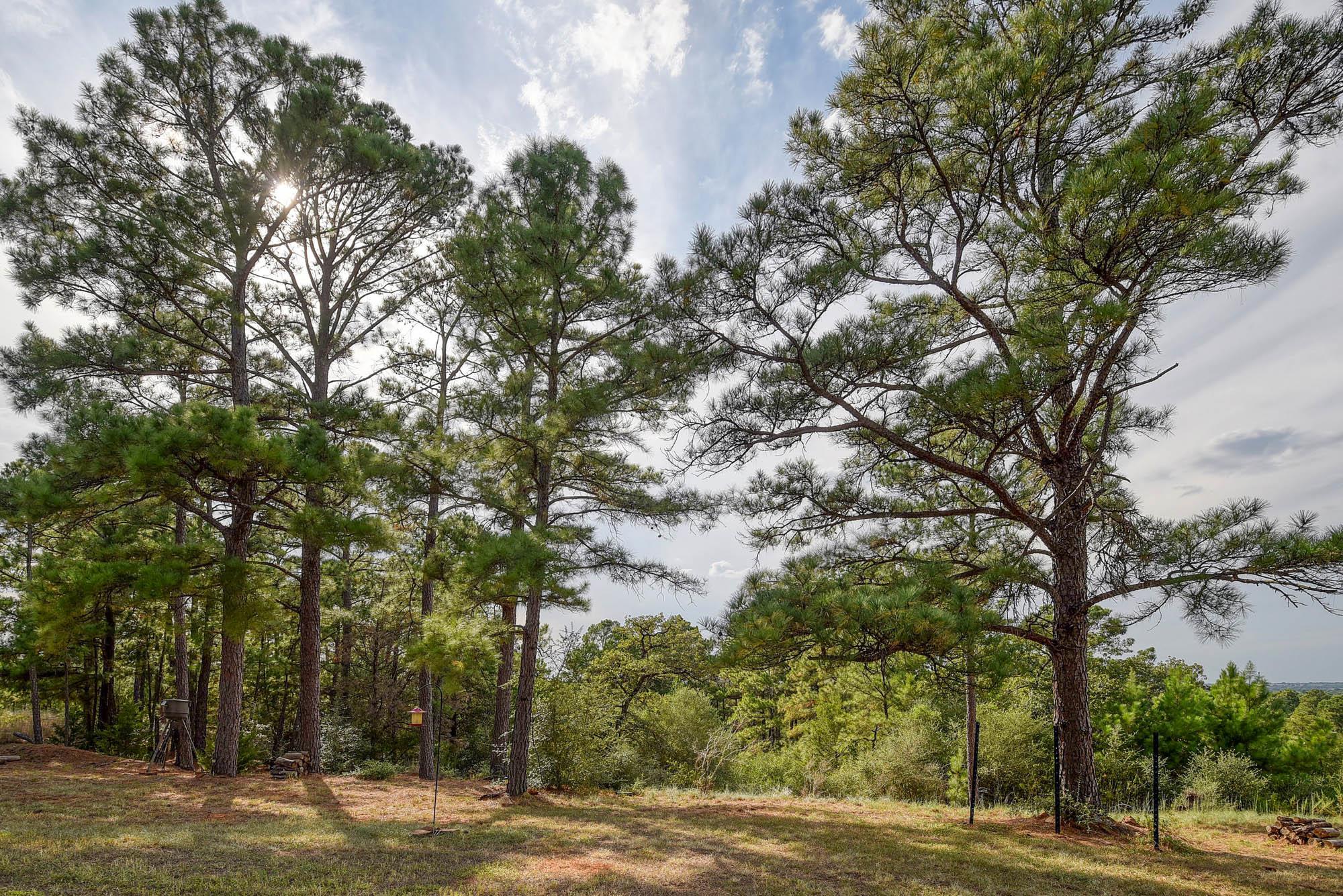 166 Sandy Rd, Rosanky, TX 78953