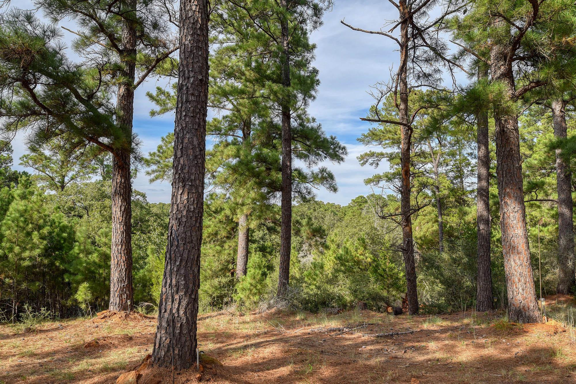 166 Sandy Rd, Rosanky, TX 78953