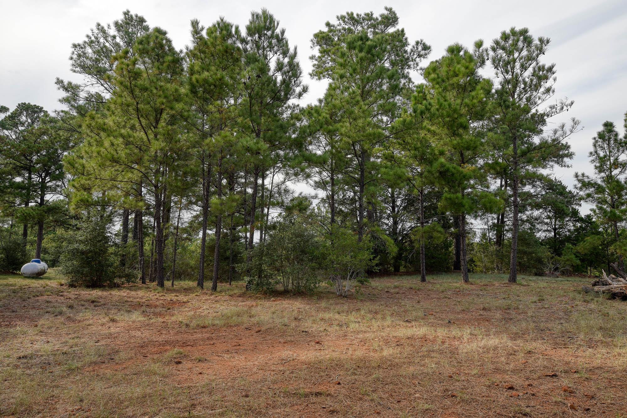 166 Sandy Rd, Rosanky, TX 78953