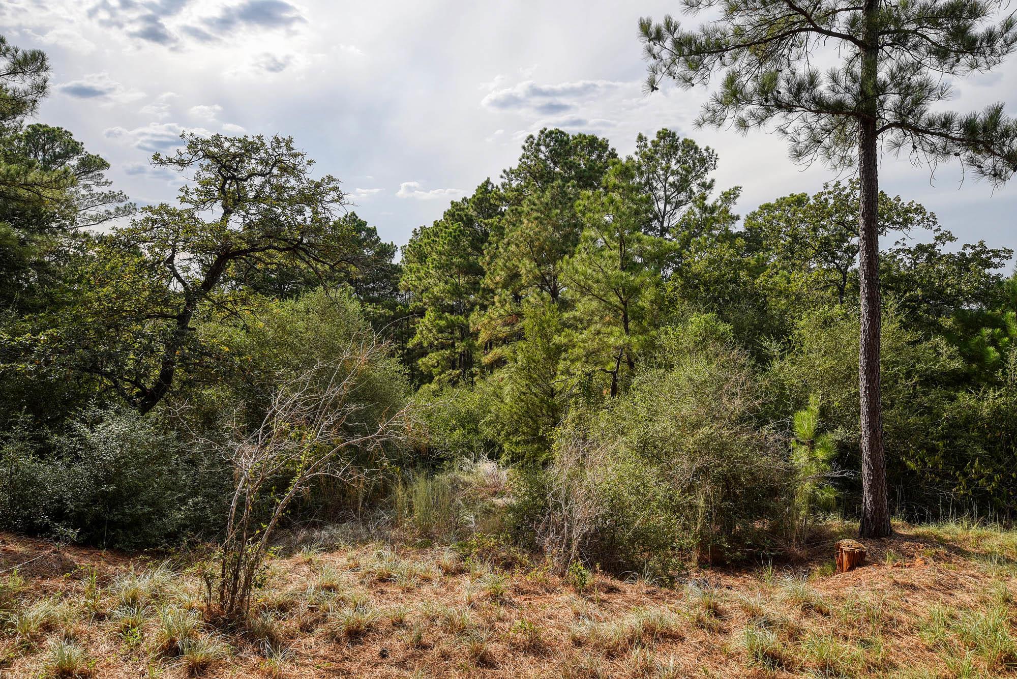 166 Sandy Rd, Rosanky, TX 78953