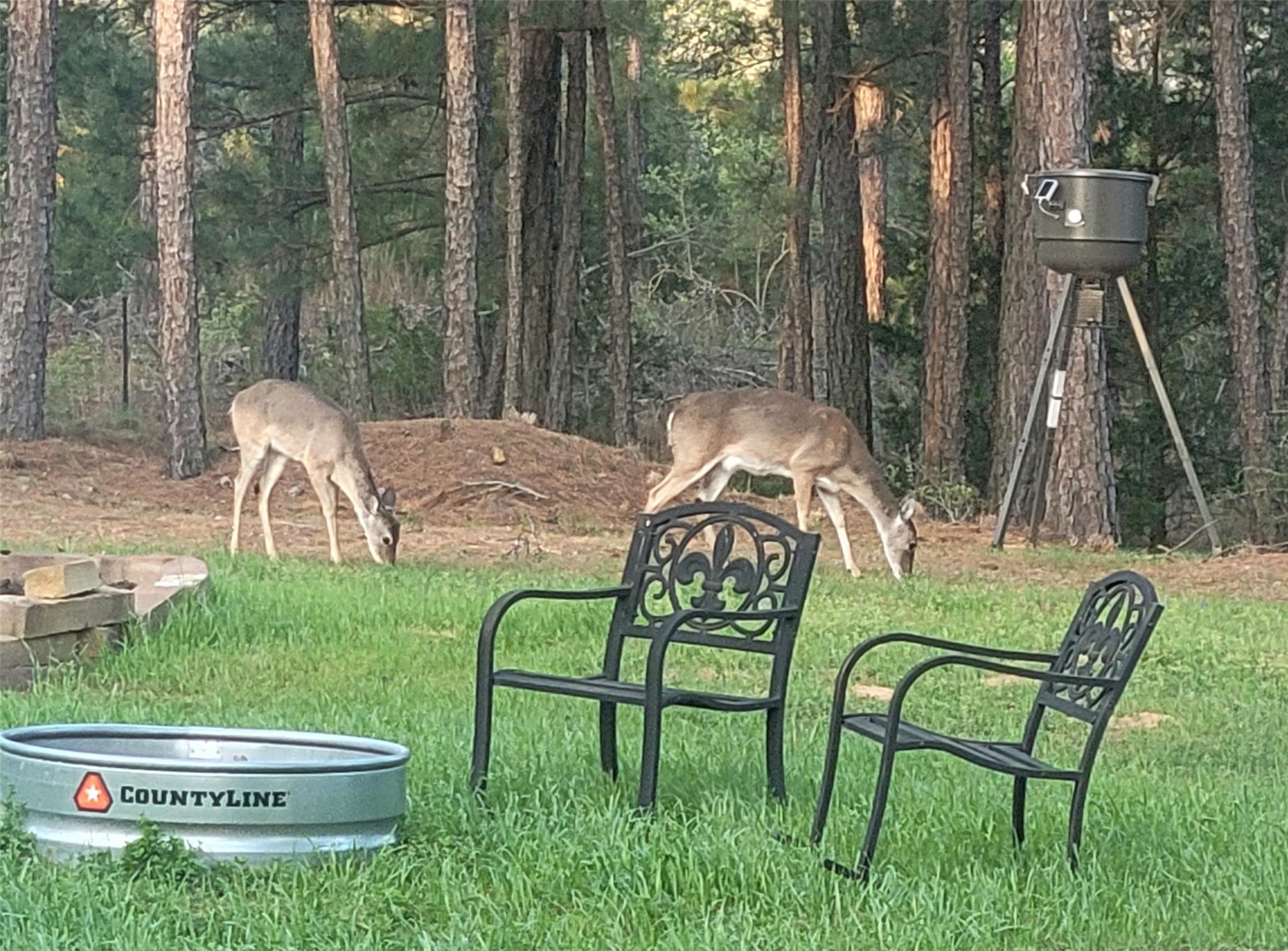 166 Sandy Rd, Rosanky, TX 78953