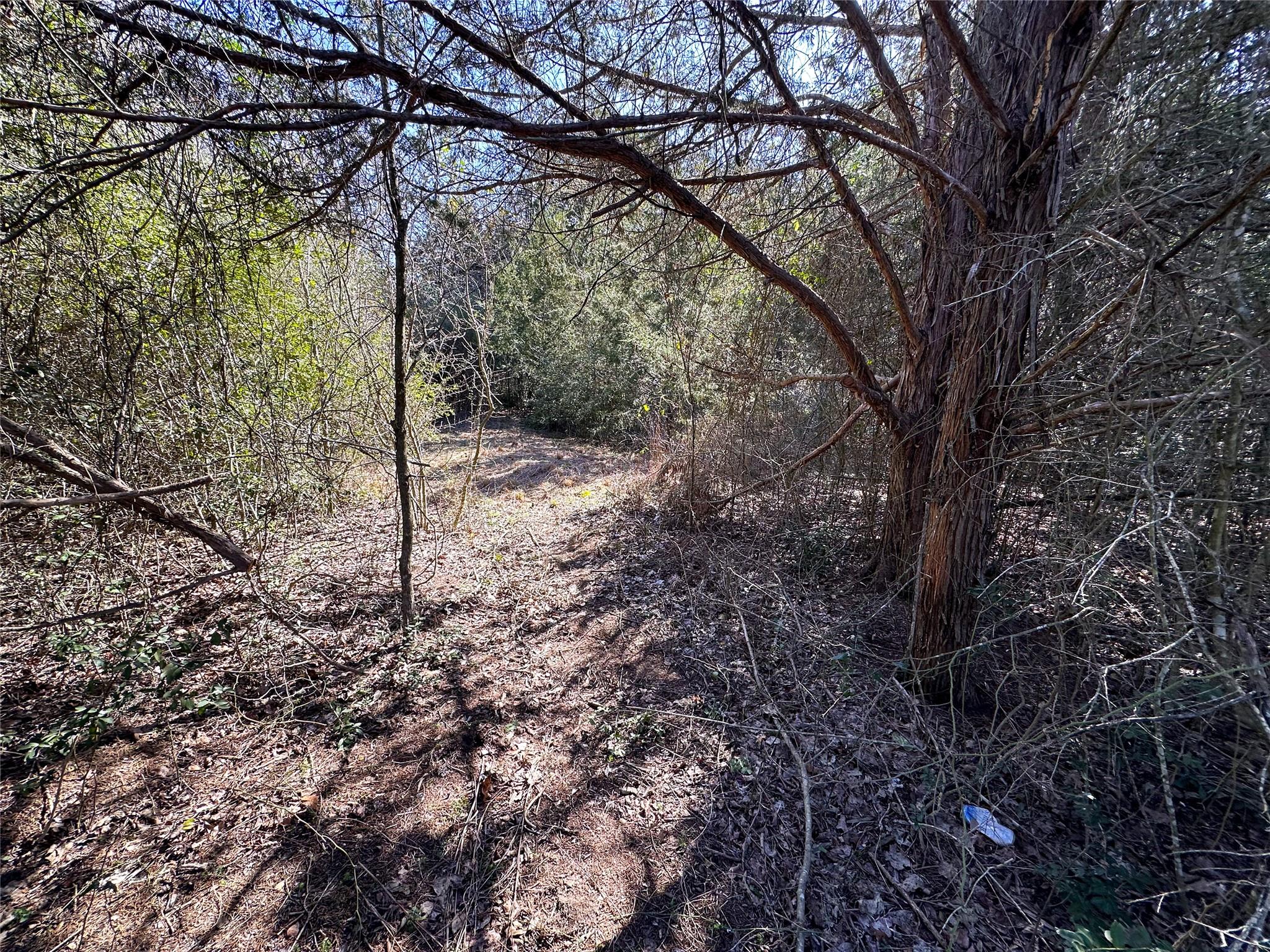 LOT 14 Alta Vista Dr, Bastrop, TX 78602