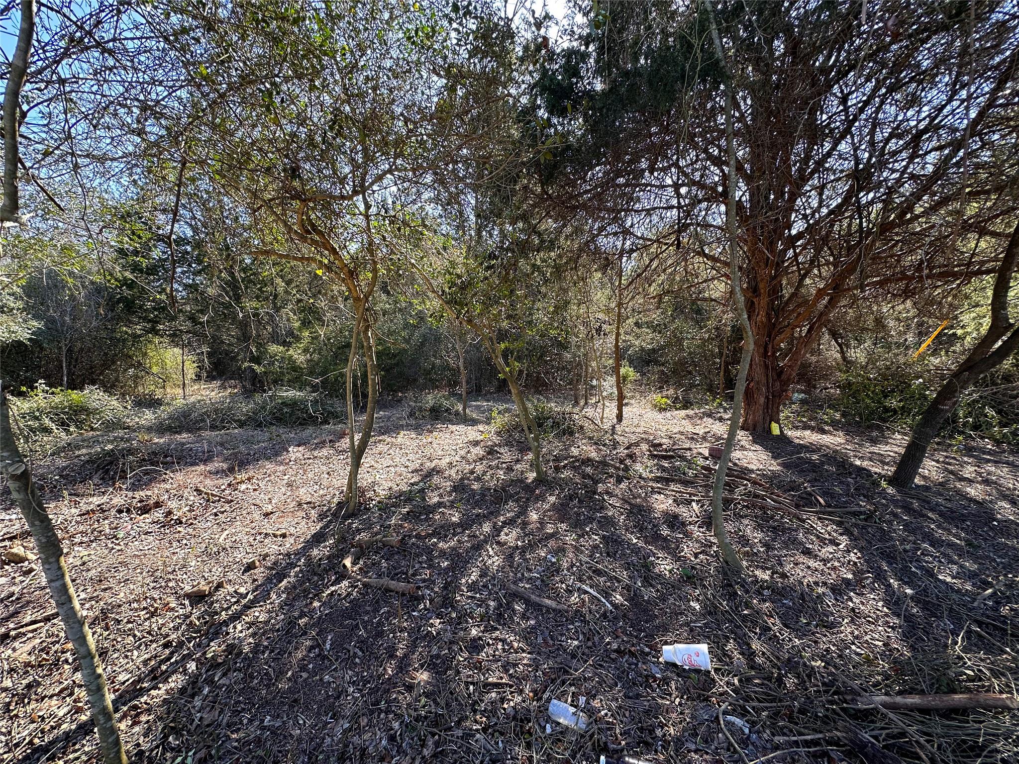 LOT 14 Alta Vista Dr, Bastrop, TX 78602