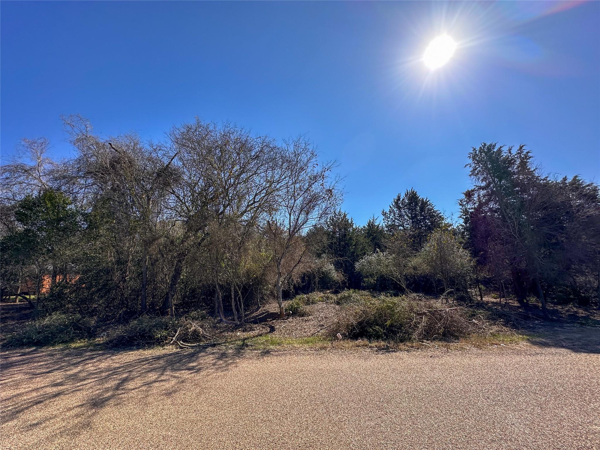 LOT 14 Alta Vista Dr, Bastrop, TX 78602