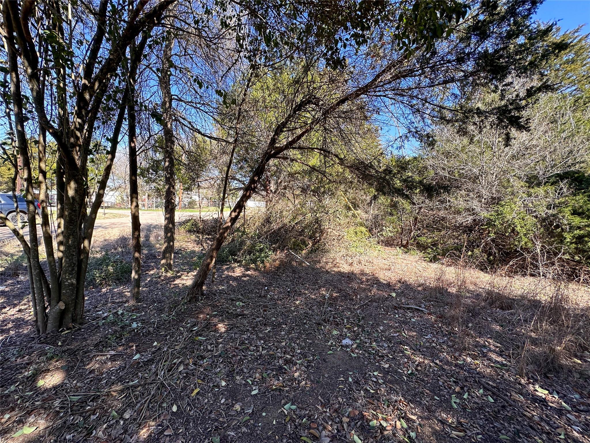 LOT 14 Alta Vista Dr, Bastrop, TX 78602