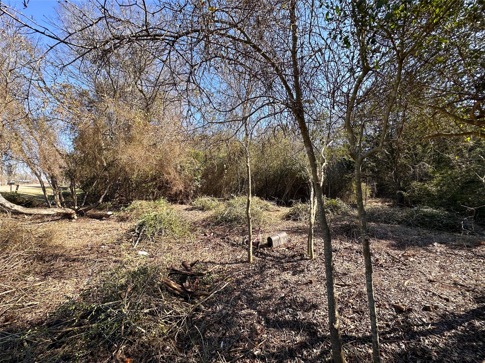 LOT 14 Alta Vista Dr, Bastrop, TX 78602
