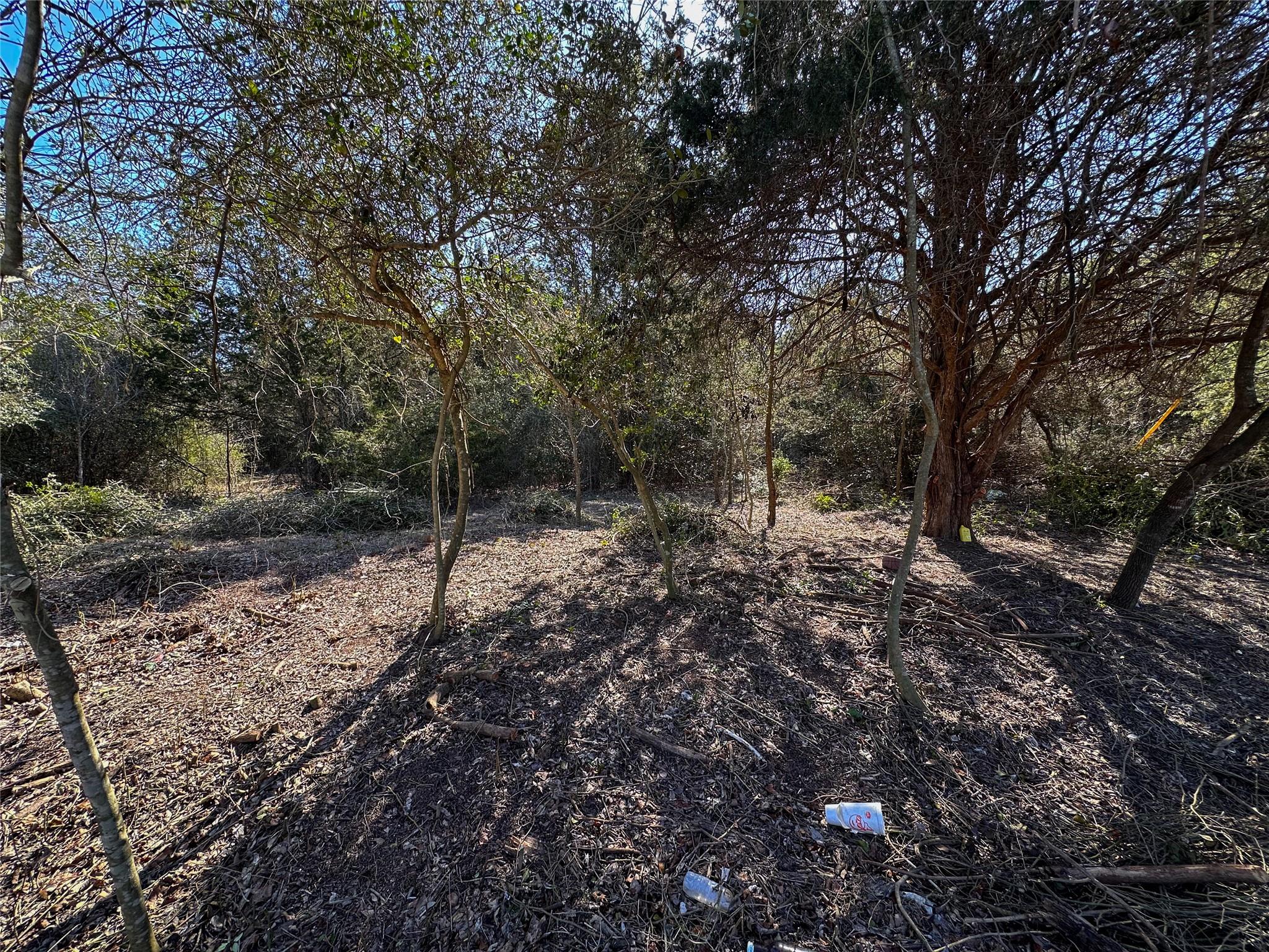 LOT 14 Alta Vista Dr, Bastrop, TX 78602