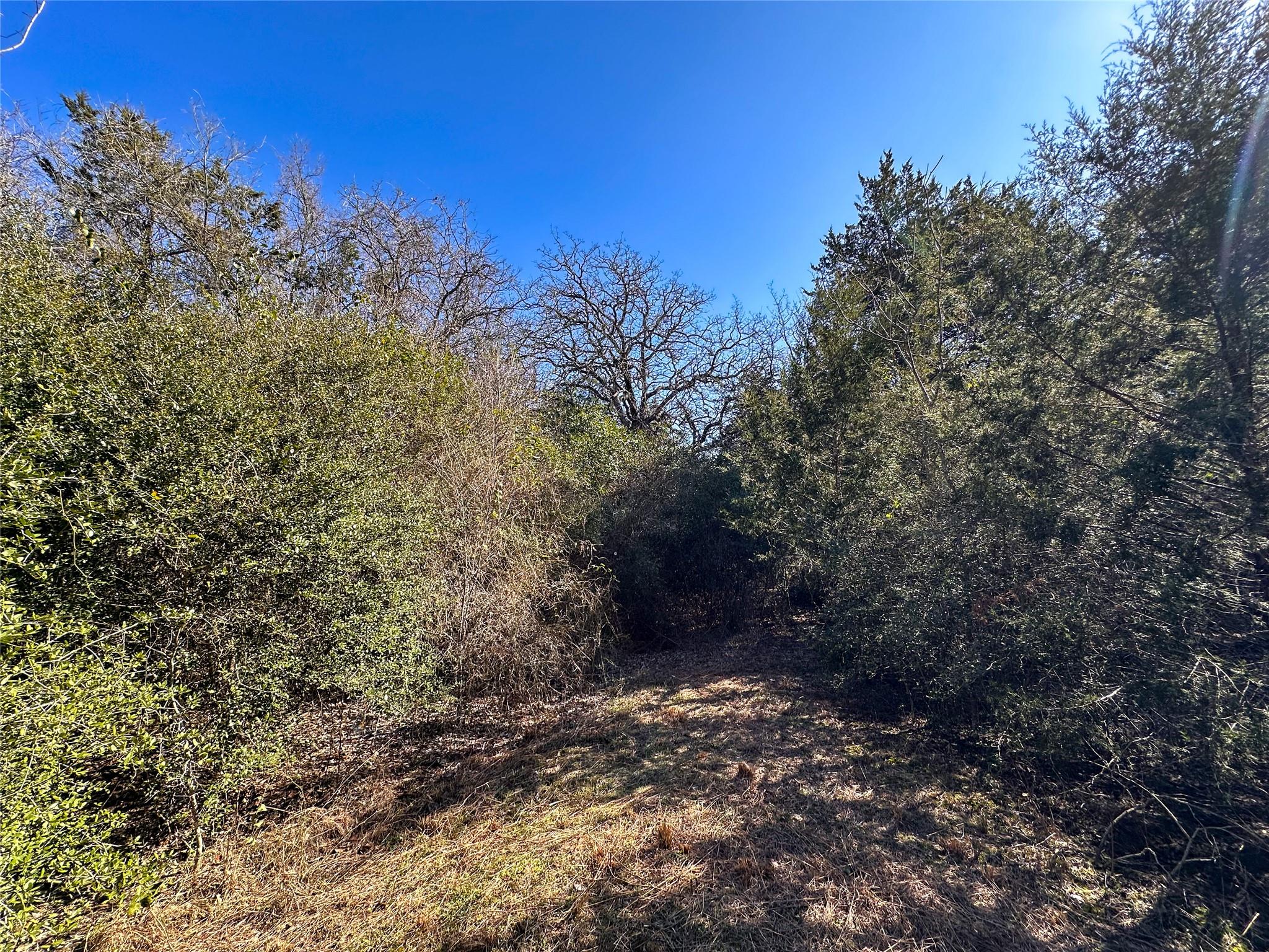 LOT 14 Alta Vista Dr, Bastrop, TX 78602