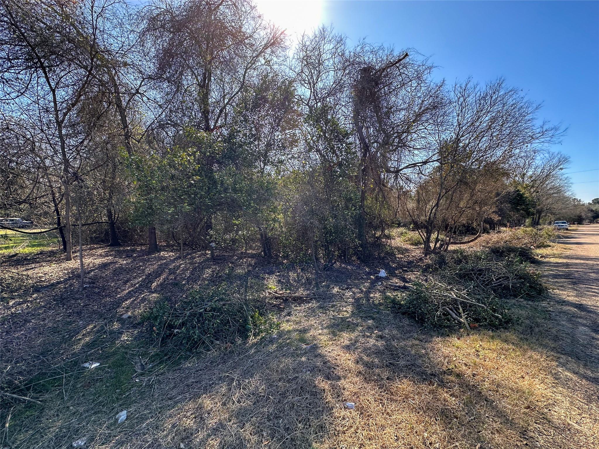 LOT 14 Alta Vista Dr, Bastrop, TX 78602