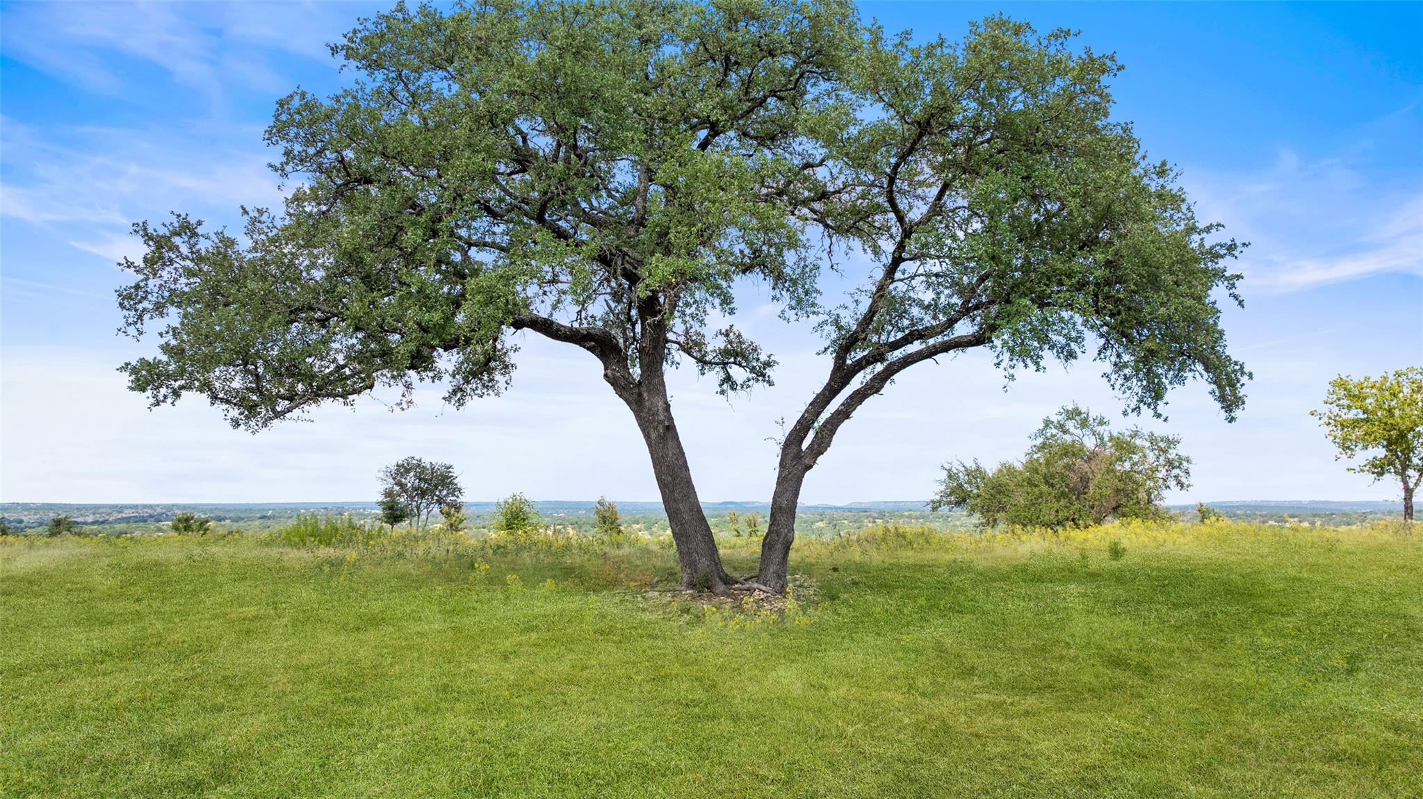 960 Gipson Rd, Johnson City, TX 78636